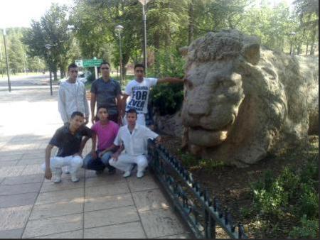 la nous a ifran acoté de le lion